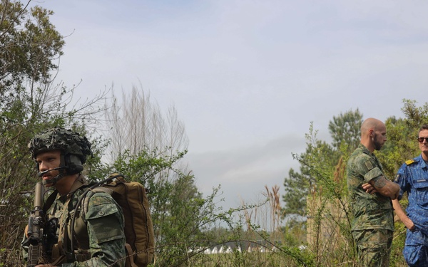 Dutch Marines Conduct Final Exercise of Caribbean Urban Warrior