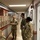 DLA Distribution Commander engages with West Coast, Pacific-region sites