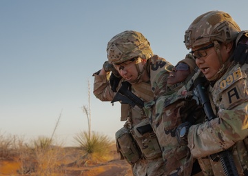 Soldiers compete in a casualty evacuation exercise during the Gen. Omar N. Bradley Best Observer, Coach/Trainer Competition