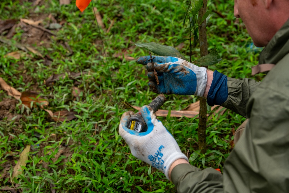 DPAA Pre-deployment site survey in Vietnam