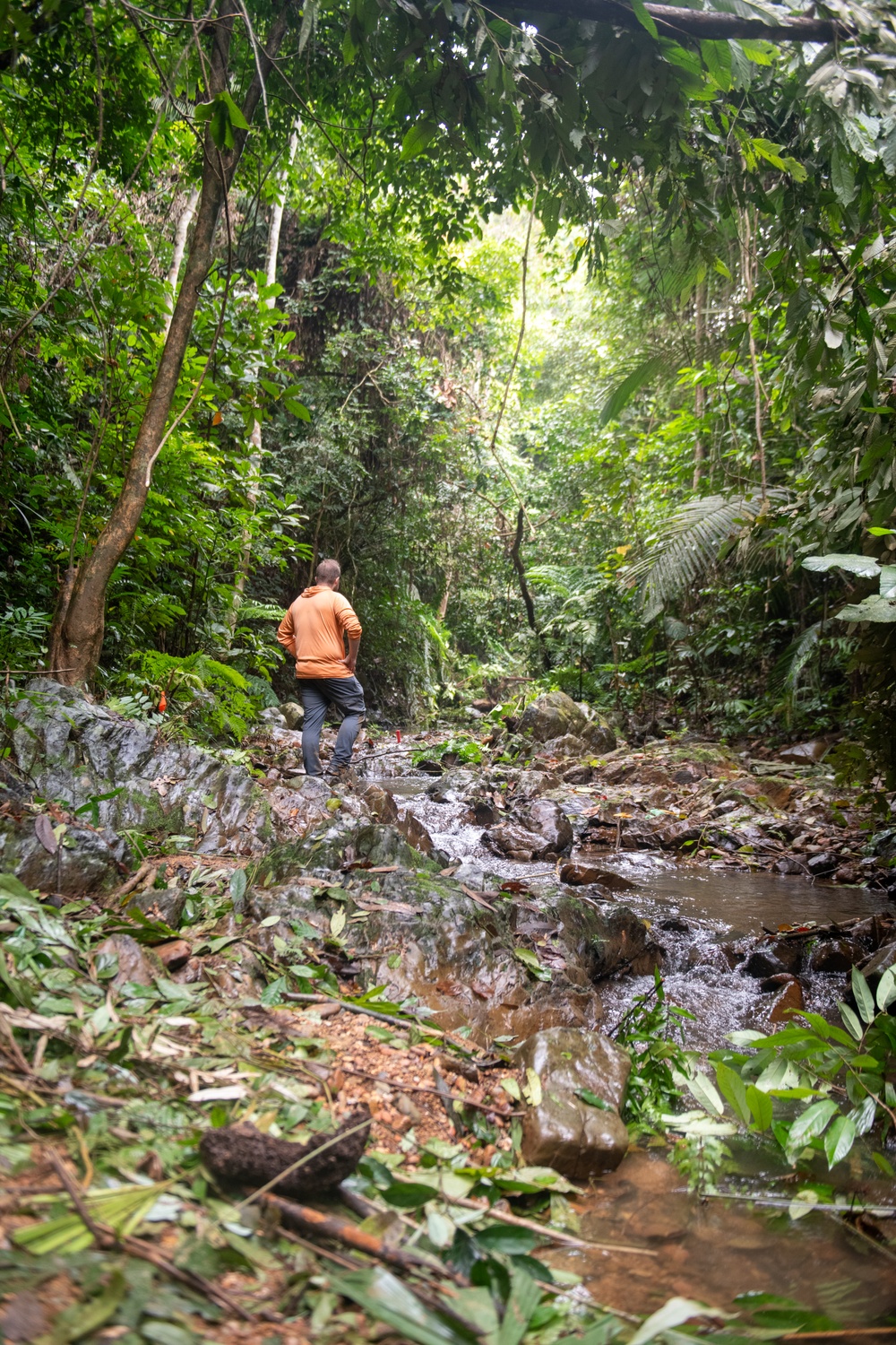 DPAA Pre-deployment site survey in Vietnam