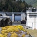 Howard A. Hanson Dam
