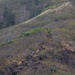Forged In Fire: Marines Sharpen Combat Readiness in Field Exercise