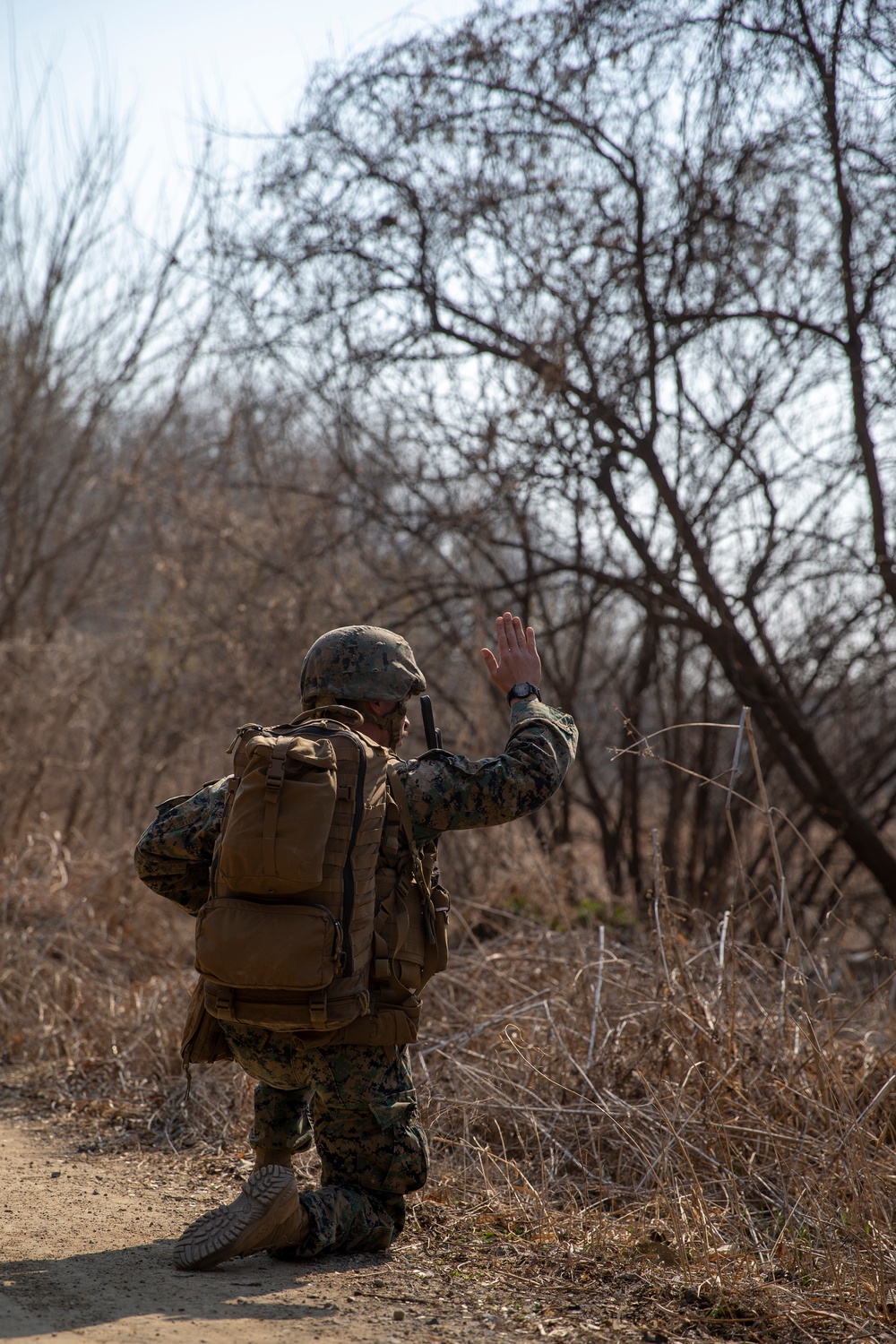 U.S. Marines and Sailors conduct patrol training in South Korea