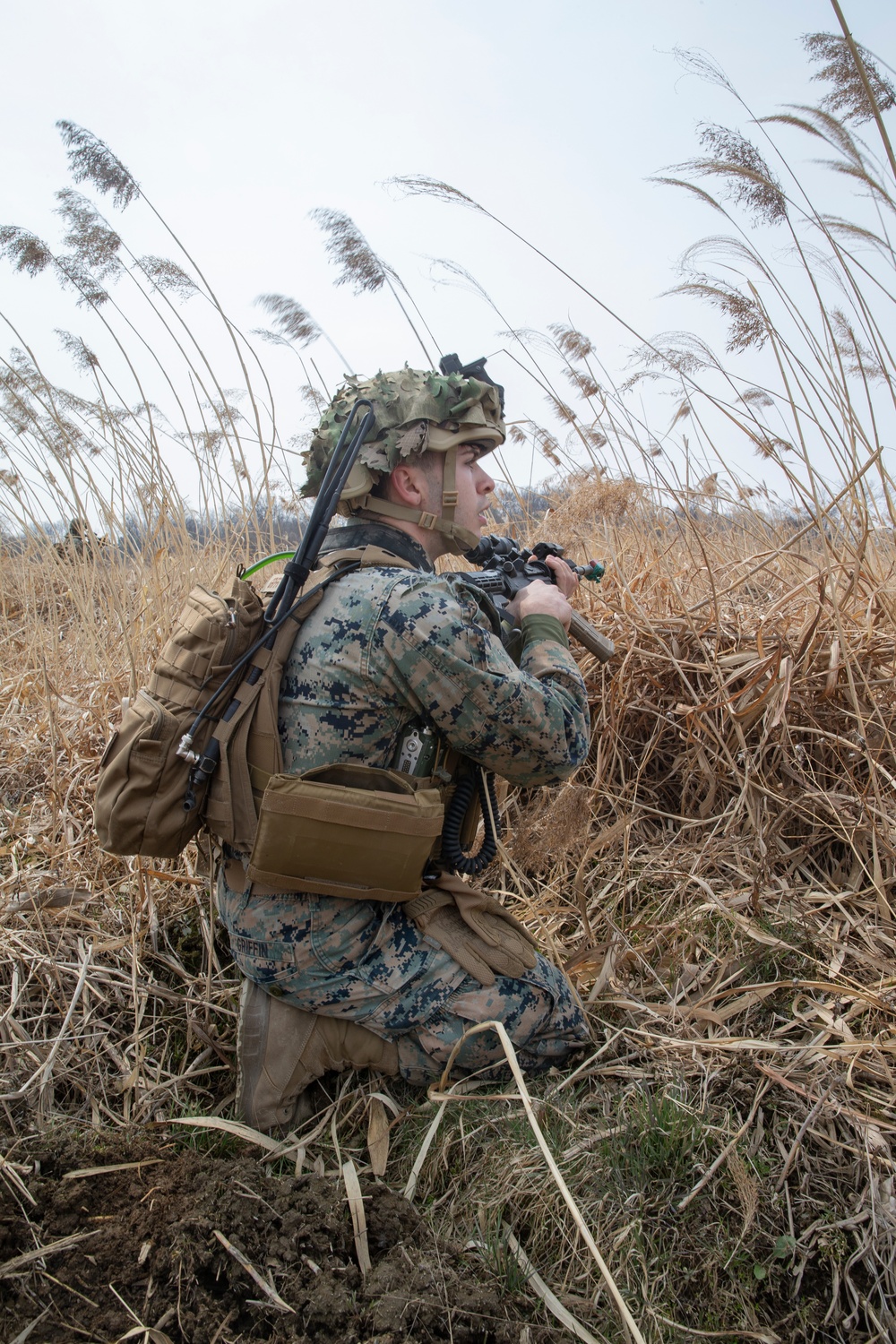 U.S. Marines and Sailors train in combat drills in South Korea