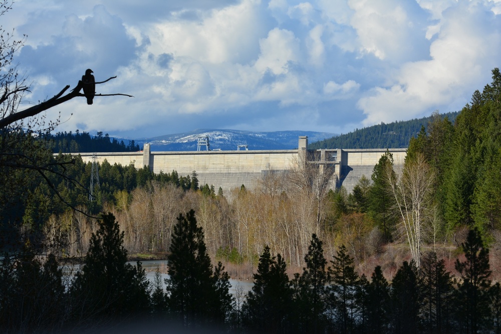 Holding Back the Flow: Seattle District's Dam Safety Program