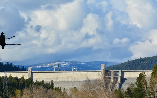 Kootenai River Basin experiences another dry year, declining Lake Koocanusa inflows
