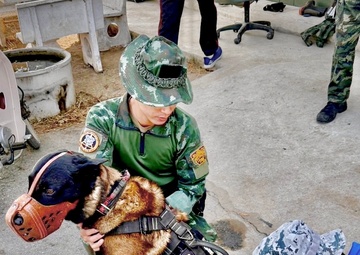 WRAIR-AFRIMS conducts infectious disease surveillance in support of Cobra Gold 2025