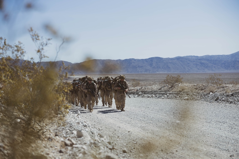 U.S. Marines with 1st Battalion 6th Marines Conduct Dry and Live-Fire Company Attacks during SLTE 2-25