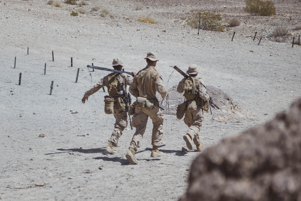 U.S. Marines with 1st Battalion 6th Marines Conduct Dry and Live-Fire Company Attacks during SLTE 2-25