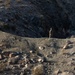 U.S. Soldiers conduct a patrol