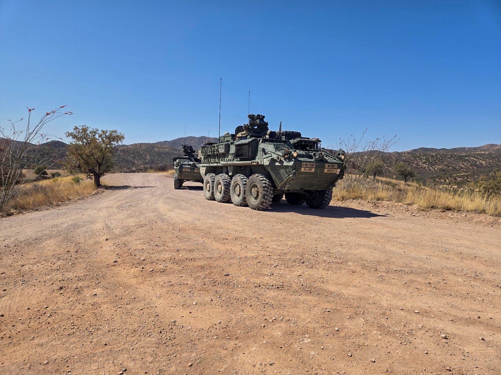U.S. Soldiers conduct a joint mounted patrol along side Customs and Border Protection