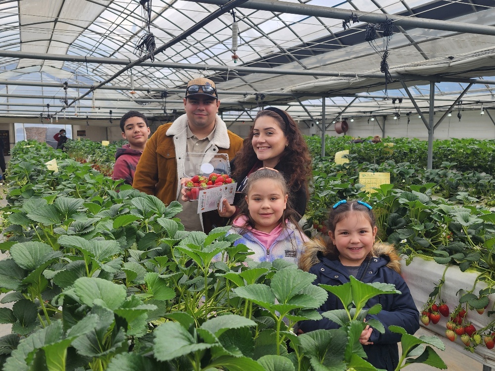 Koreans and Americans share a ‘berry’ rich cultural exchange
