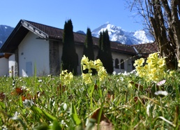 Spring blooms at the George C. Marshall Center