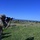 OPERATION SHIELD 2025 OPERATION SHIELD 2025