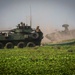 U.S., India forces conduct beach landing training during Tiger Triumph 2025