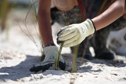 MacDill AFB and Tampa Bay Watch team up to strengthen our shores