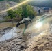 3-17 CAV Soldiers Earn Their Spurs