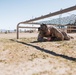 Marines sprint through the finish line during 1st Marine Division Squad Competition