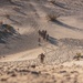Marines sprint through the finish line during 1st Marine Division Squad Competition