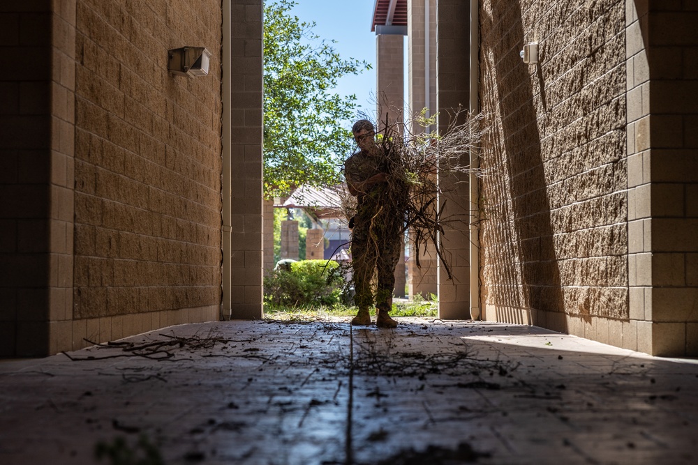 MASS-3 Marines participate in Operation Clean Sweep II