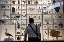 Pacific Marines Immerse Themselves in Hawaiian History at Bishop Museum