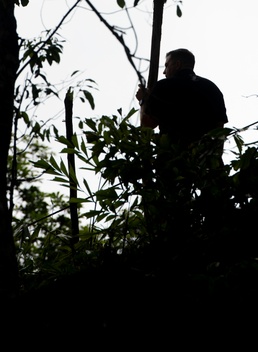 U.S. Ambassador Marc Knapper, Deputy Minister of Foreign Affairs Đỗ Hùng Việt, and DPAA Detachment 2 Leadership Visit 25-2VN Recovery Site
