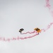 2025 MCAS Beaufort Air Show