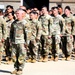 Illinois Army National Guard units return home after successful deployment for Operation Spartan Shield
