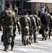 Illinois Army National Guard units return home after successful deployment for Operation Spartan Shield