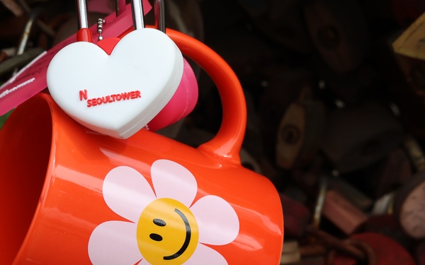 35th ADA Brigade BSRT Trip to Seoul