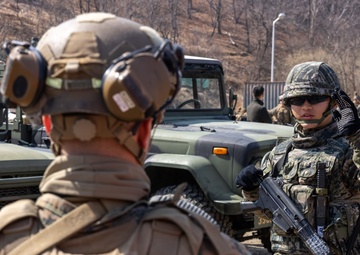 4th Marine Regiment and ROK Marines conduct CQT Training and Patrolling during KMEP 25.1