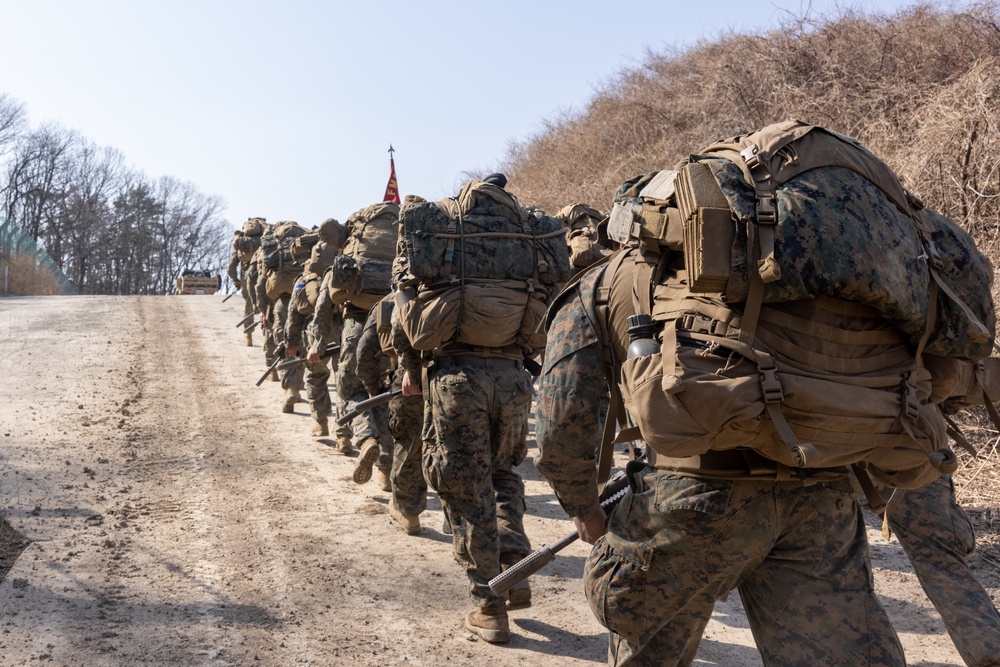 4th Marine Regiment and ROK Marines conduct CQT Training and Patrolling during KMEP 25.1
