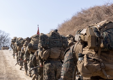 4th Marine Regiment and ROK Marines conduct CQT Training and Patrolling during KMEP 25.1