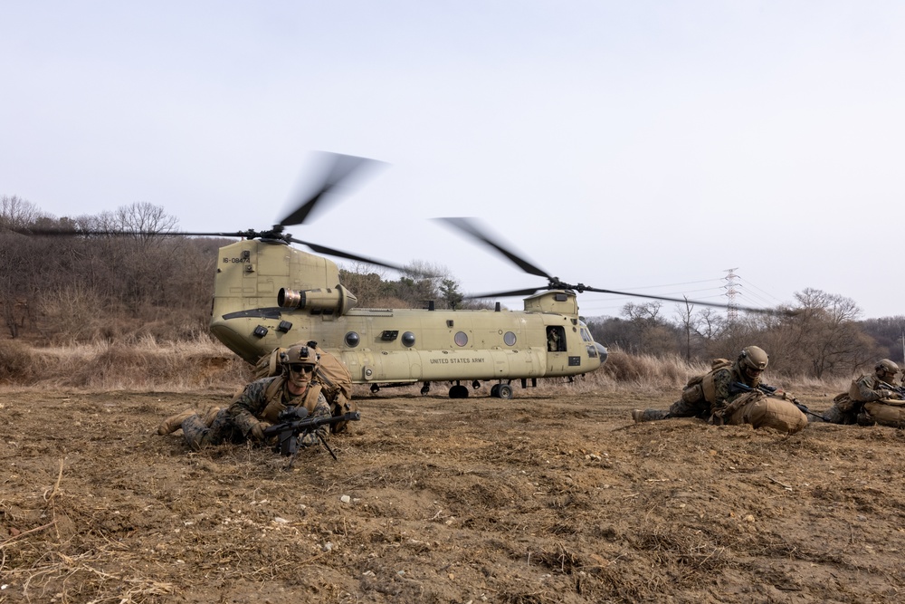 4th Marine Regiment conducts Force-on-Force Training Exercise during KMEP 25.1