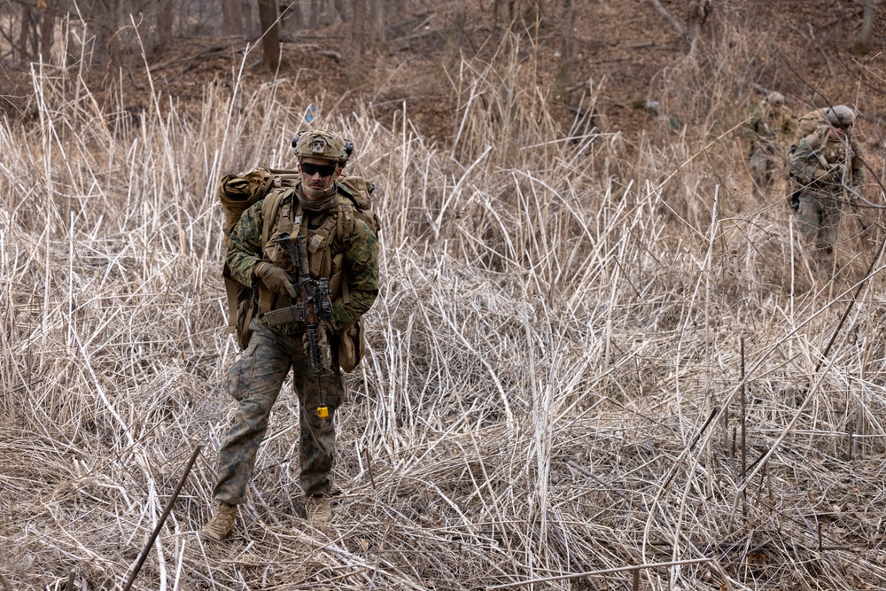 4th Marine Regiment conducts Force-on-Force Training Exercise during KMEP 25.1