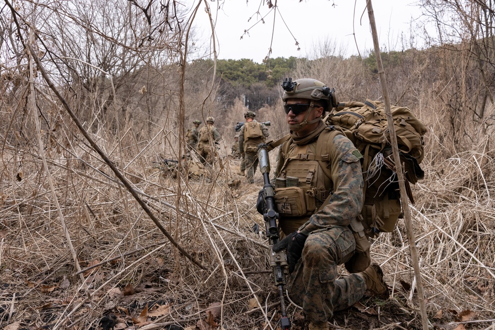 4th Marine Regiment conducts Force-on-Force Training Exercise during KMEP 25.1