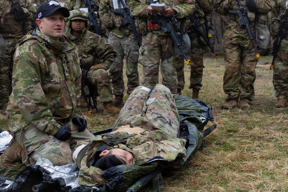 Expert Field Medical Badge