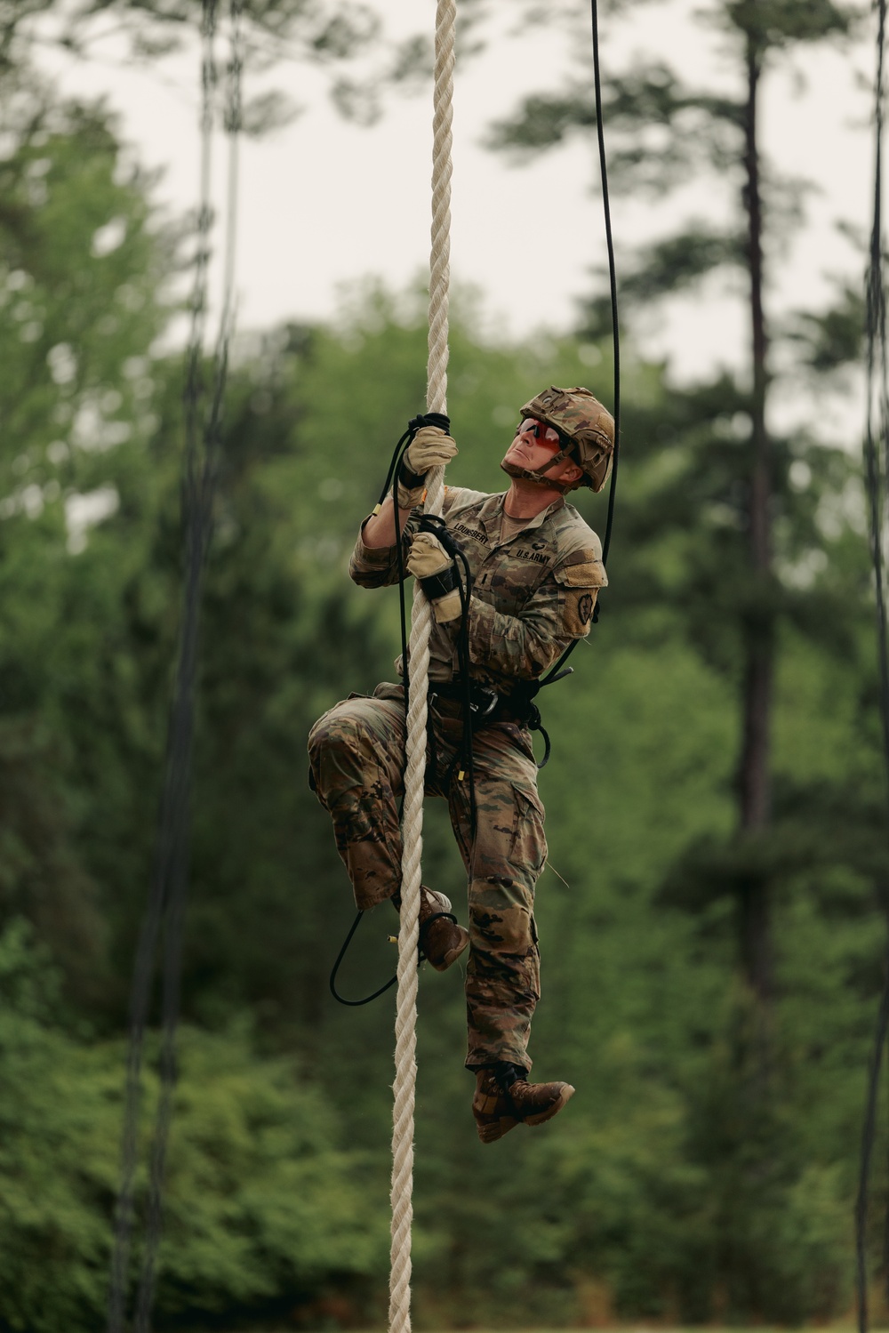 Best Ranger 2025