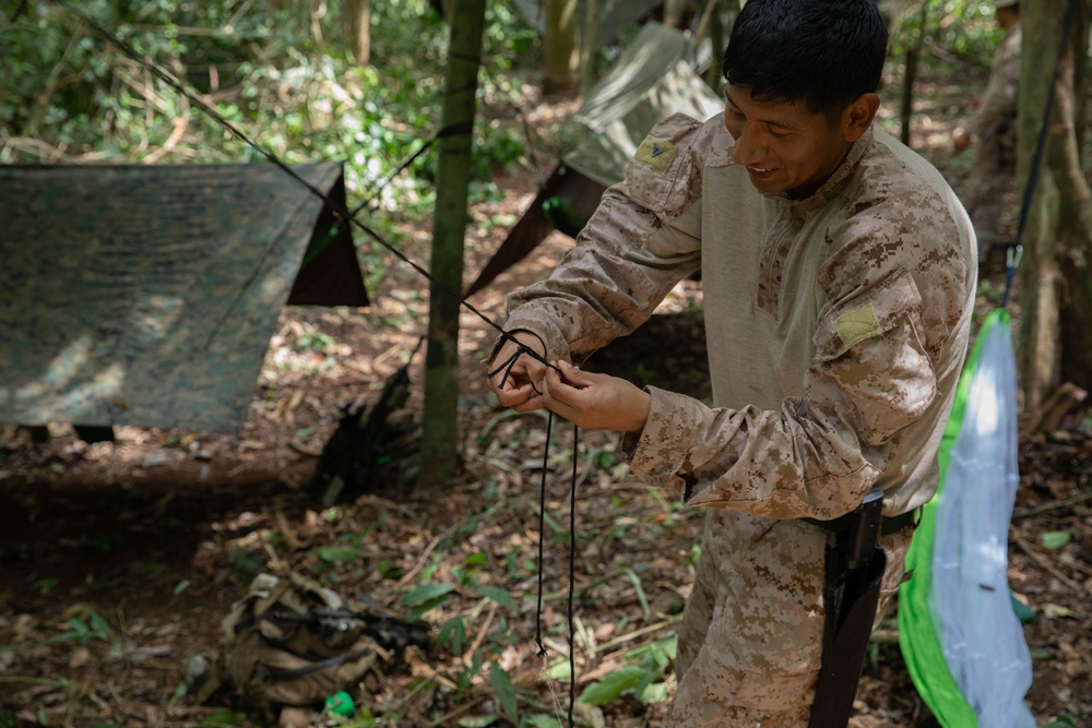 V18 Jungle Training