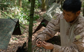 V18 Jungle Training