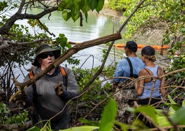 Marina Mangroves: Volunteers remove invasive trees from MCBH