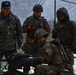 U.S. Army and Republic of Korea soldiers compete in Expert Soldier, Infantry and Field Medical Badge training.