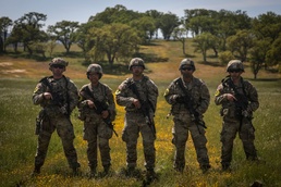 Falcon Nation Unites: 2025 79th TSC Best Warrior and Best Squad Showdown