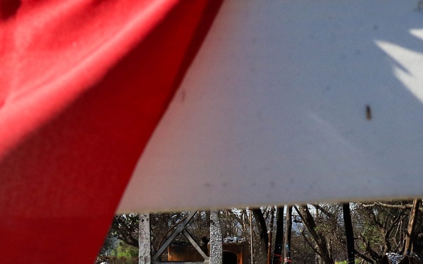 Positive signs amid destruction