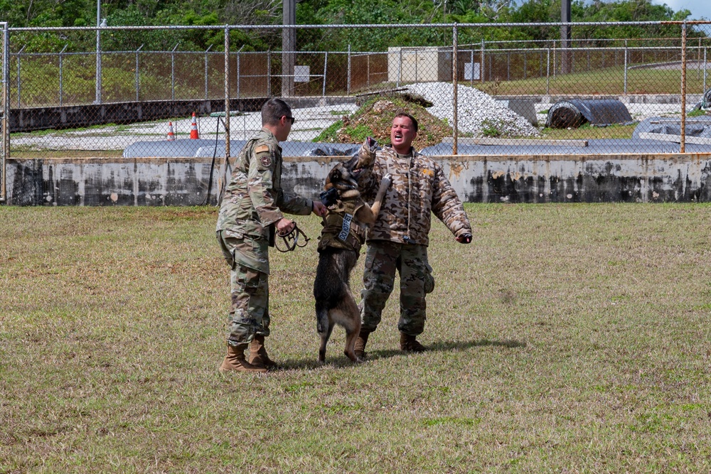 36 SFS trains military working dogs