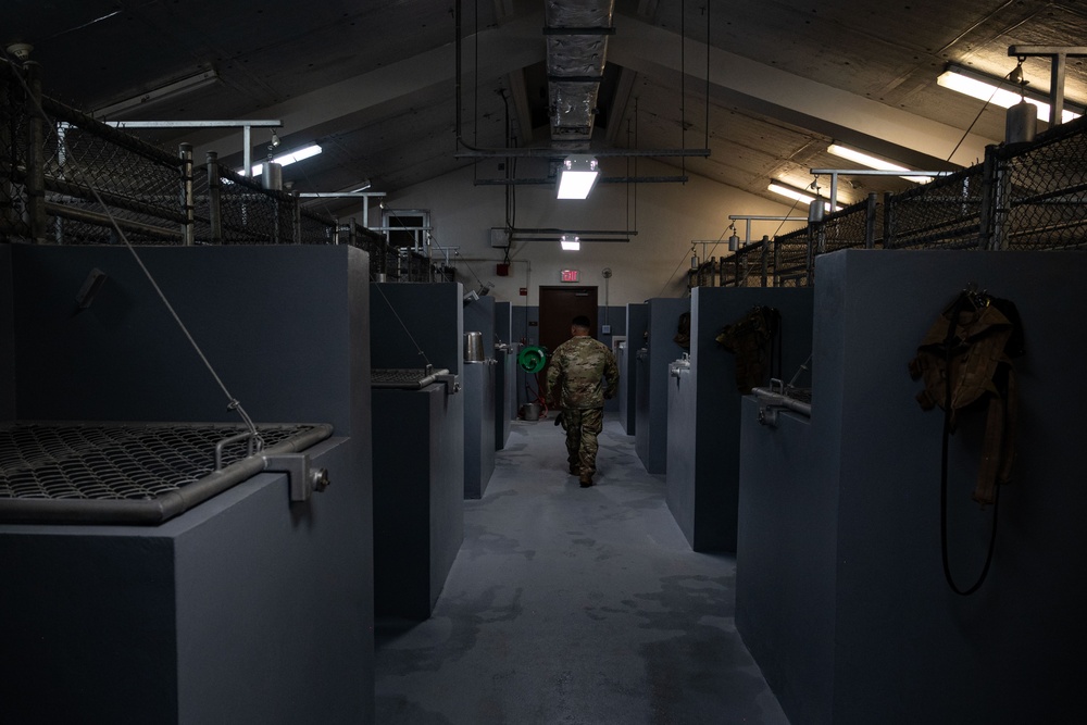 36 SFS trains military working dogs