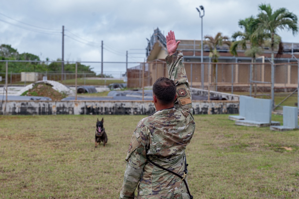 36 SFS trains military working dogs