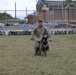 36 SFS trains military working dogs