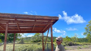 Pacific Pulse: 11 January 2019